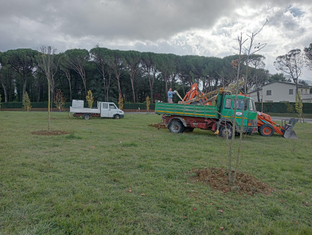 Terex dona nuovi alberi al Comune di Umbertide per rendere ancora più verde la città